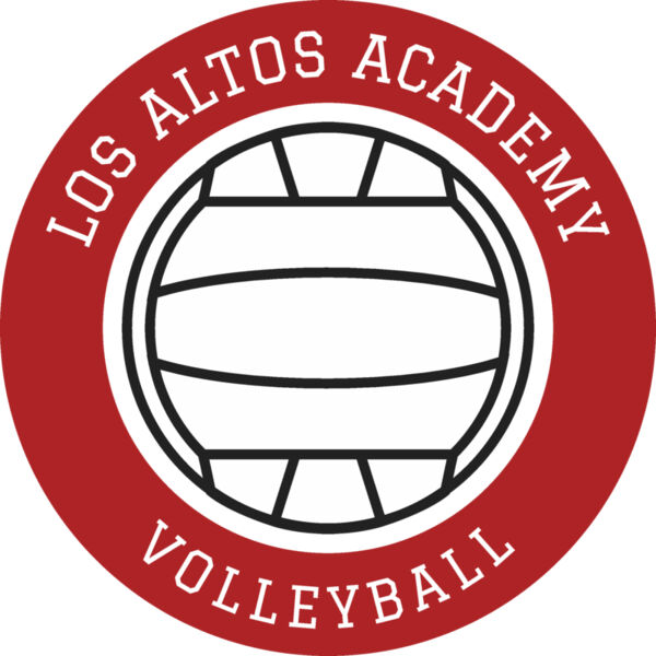 Volleyball Template DNT002 Vignette