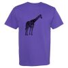 Heavyweight Cotton Tee Vignette