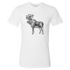 Fine Jersey Tee Vignette